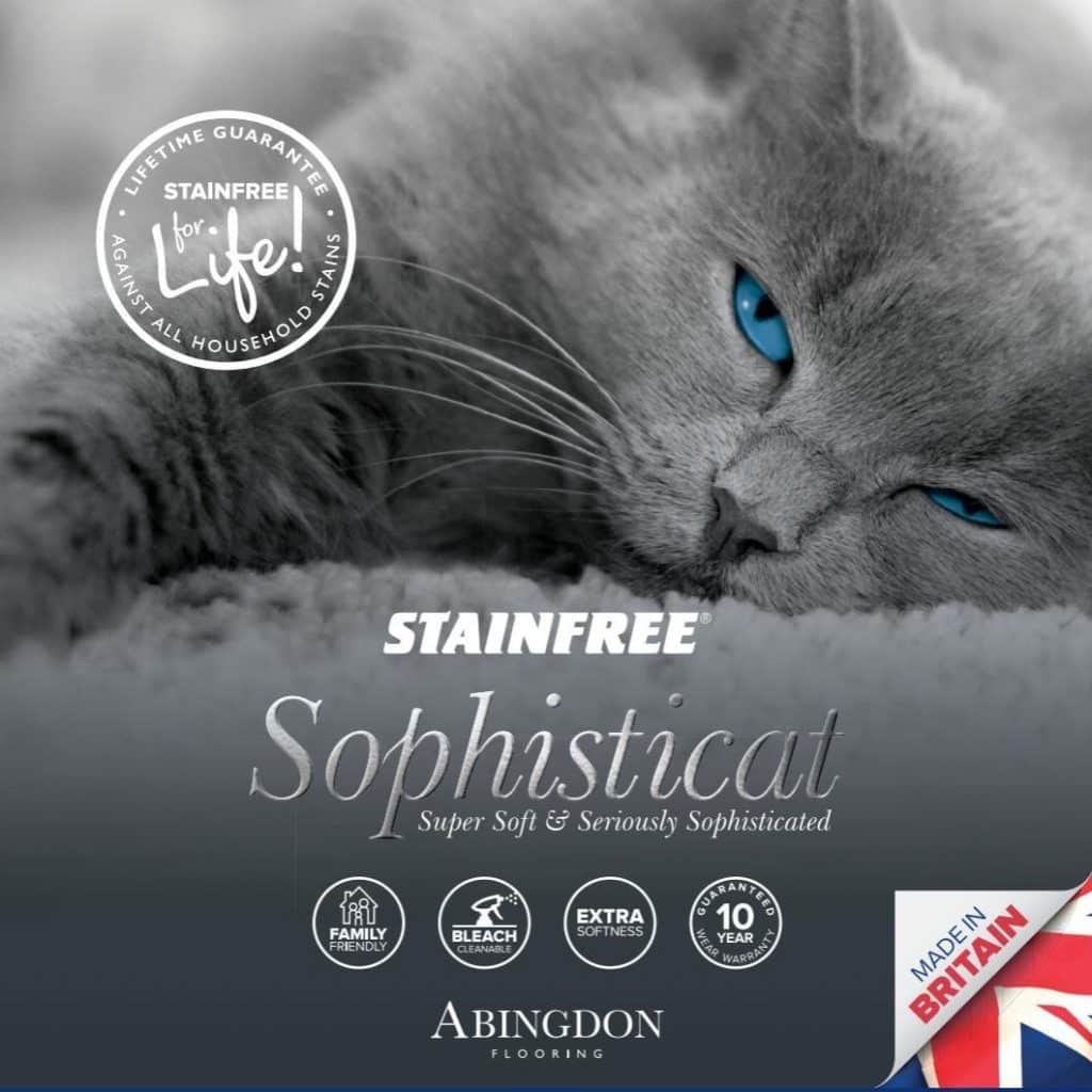 abingdon stainfree sophisticat cat, made in britain